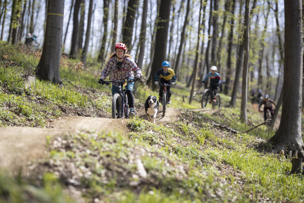 Markus-Fruehmann_HWW_2